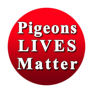 pigeonslivesmatter